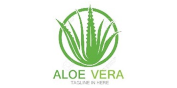 Web 1920 – 12